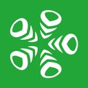 Logo AVL
